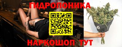ПСИЛОЦИБИНОВЫЕ ГРИБЫ Гусиноозёрск