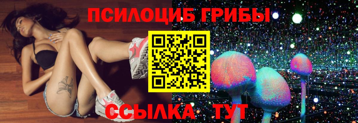 Псилоцибиновые грибы MAGIC MUSHROOMS Королёв